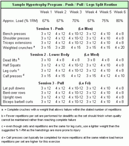 1 Week Weight Loss Gym Plan