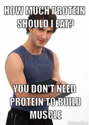 personal-trainer-meme-generator-how-much-protein-should-i-eat-you-don-t-need-protein-to-build-muscle-704d81