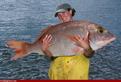 Big-Fish-Catch-56374