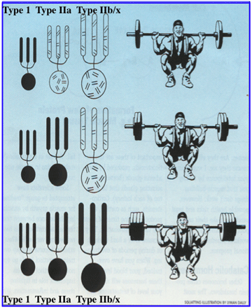 motor2