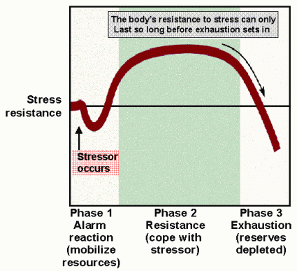 general_adaptation_syndrome