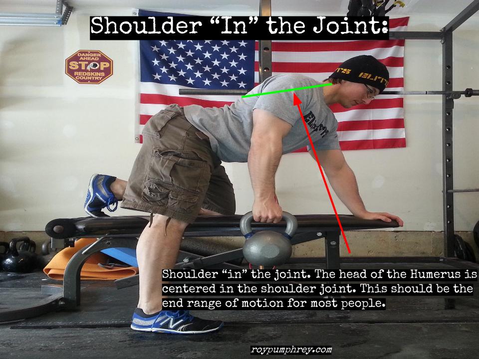 Shoulder -In- the Joint
