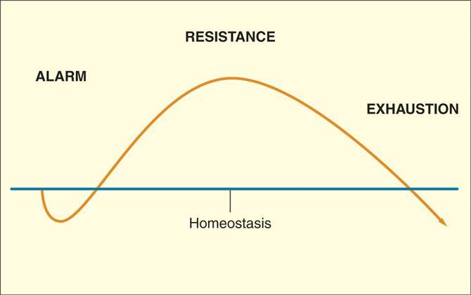the_general_adaptation_syndrome1308335720982