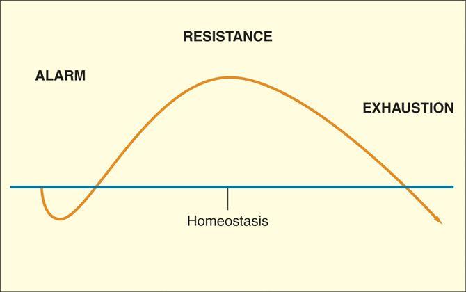 the_general_adaptation_syndrome1308335720982