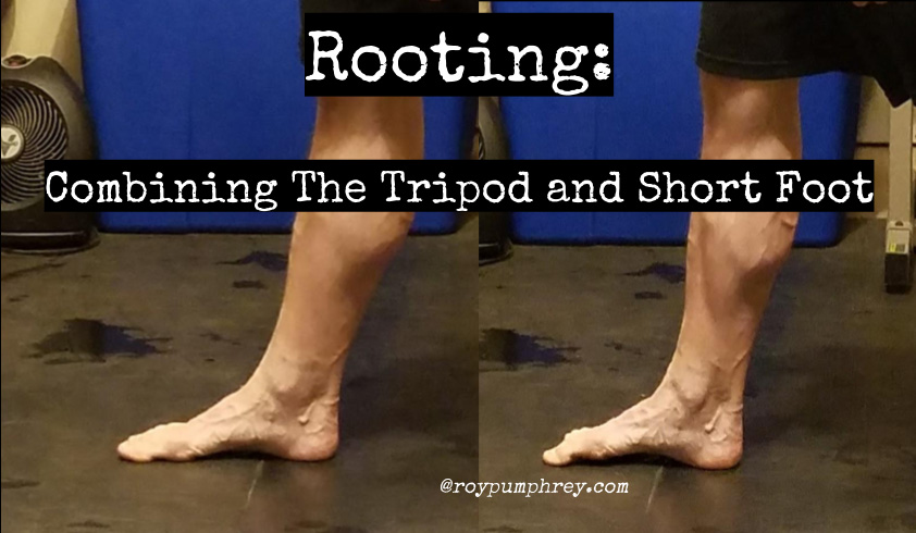 Rooting: Gripping the Ground isnt Curling Your Toes.