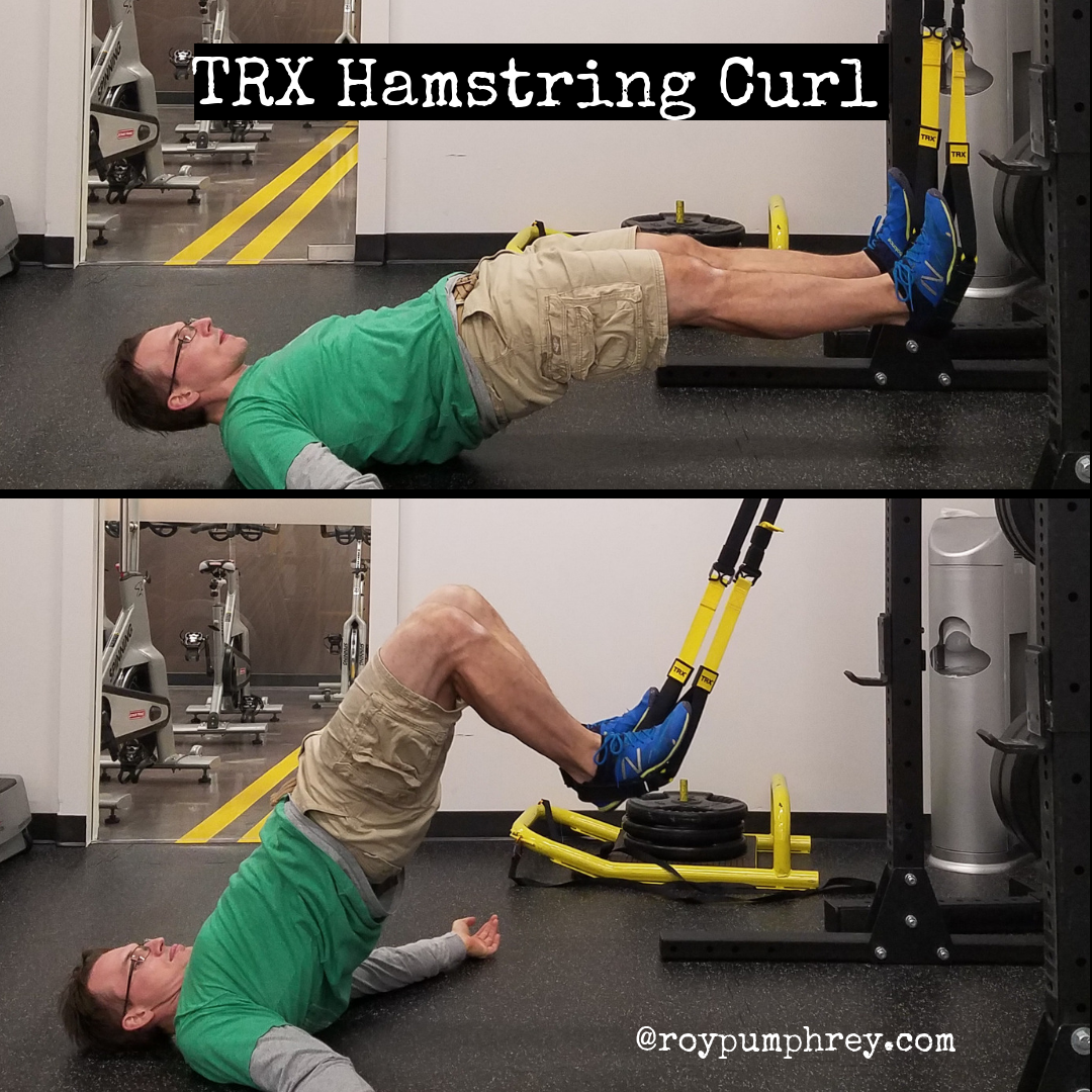 trx hamstring curl trx hamstring curl