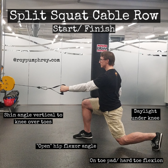 Split Squat Rows Satans Choice For an Anti Rotaion Exercise